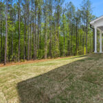 Exterior - Rear - Ground Level - Looking to Trees - DSC05993